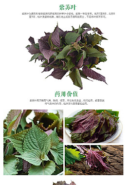 有機蔬菜蔬菜詳情頁高清PSD源文件下載
