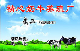 奶牛養殖名片