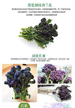 有機蔬菜蔬菜類設(shè)計高清PSD源文件下載