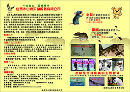 老鼠DM單滅鼠