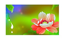 美尚美格3D背景墻