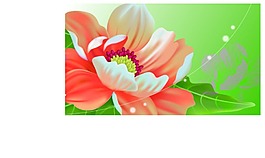 美尚美格3D背景墻