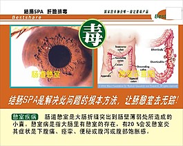 結(jié)腸SPA 肝膽排毒