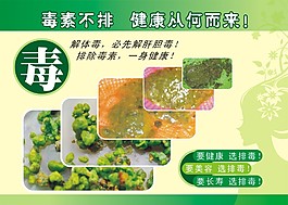 結(jié)腸SPA肝膽排毒