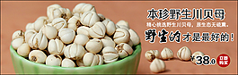 野生川贝海报