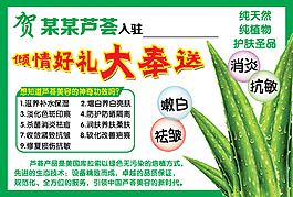 芦荟海报