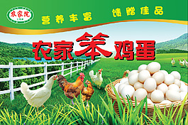 笨雞蛋卡片