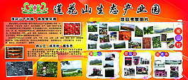 蓮花山生態產業園簡介及照片墻