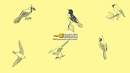 各種鳥兒筆刷