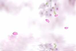 背景圖