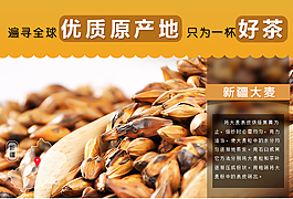 新疆大麥主圖