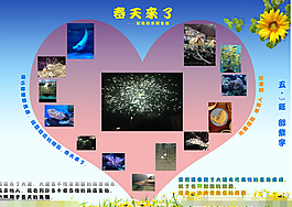 照片墻