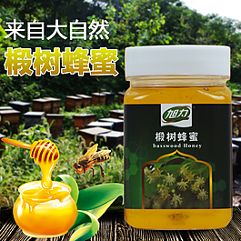 蜂蜜主圖