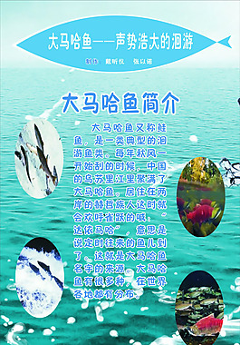 科學展板