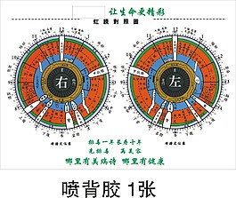 虹膜對比