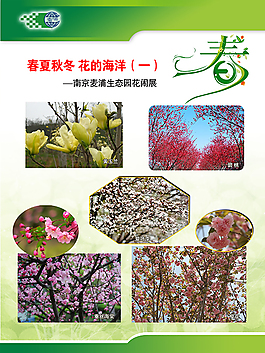 春天花卉