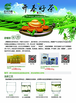 茶葉設(shè)計宣傳單PSD源文件下載