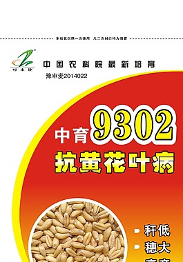 中育9302