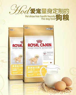 原創(chuàng)PSD食品海報設(shè)計素材模板下載