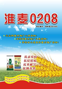 小麥海報