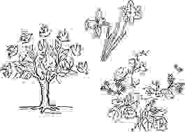 三款花草鳥白描CDR矢量文件