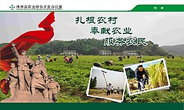 扎根農村