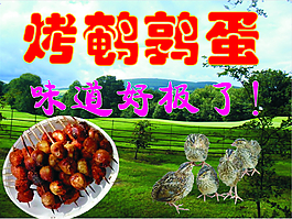 鵪鶉蛋宣傳海報(bào)