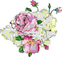 復(fù)古手繪花卉 矢量圖