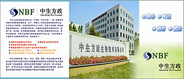 干净公司企业宣传海报