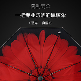 雨伞主图