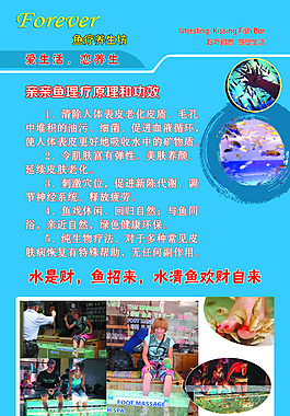 親親魚療