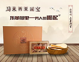 馬來西亞國寶