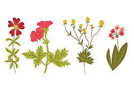 植物設(shè)計圖
