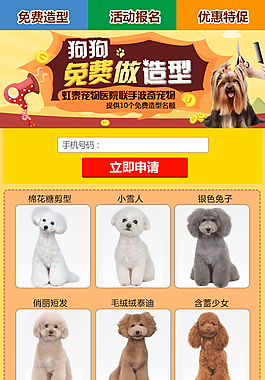 免費造型專題