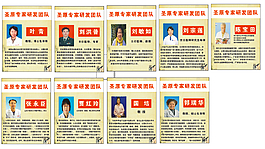 圣原專家團隊