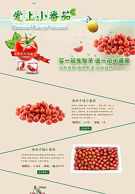 小番茄促銷PSD模板下載