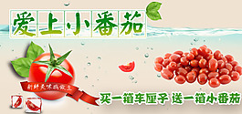 愛(ài)上小番茄模板下載