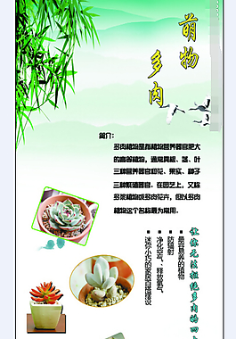 植物展架