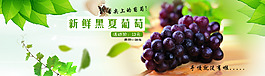 水果海報 素材