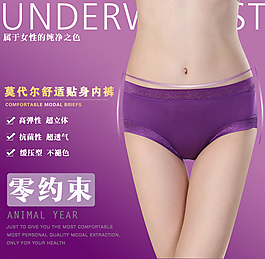 莫代爾女士?jī)?nèi)褲舒適貼身透氣寶貝詳情圖