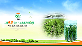 鐵皮石斛種植企業網站