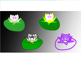 3D旋轉(zhuǎn)的荷花flash動畫