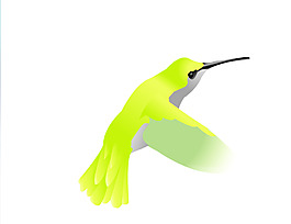 透明flash蜂鳥動畫素材