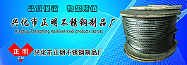 公司海报