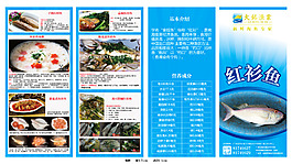 四折頁