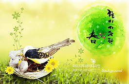 春鳥海報psd素材