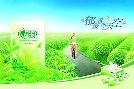 綠色心相印紙巾海報psd素材