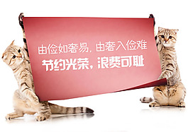 節(jié)約光榮告示psd素材