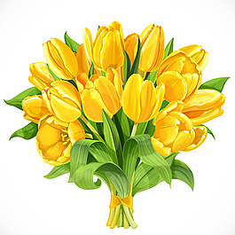 郁金香花束矢量素材
