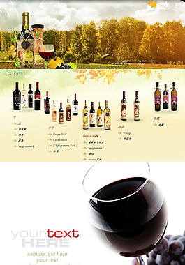 俄羅斯  紅酒